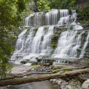 Cascadilla Falls 1395
